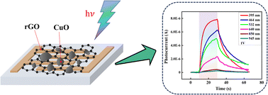 Graphical abstract: A study on a broadband photodetector based on hybrid 2D copper oxide/reduced graphene oxide