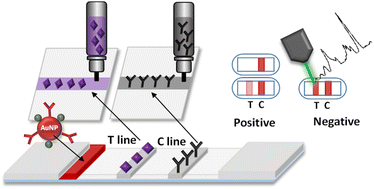 Graphical abstract: Pen direct writing of SERRS-based lateral flow assays for detection of penicillin G in milk