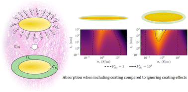 Graphical abstract: Radiofrequency absorption of coated ellipsoidal gold nanoparticles in human tissue