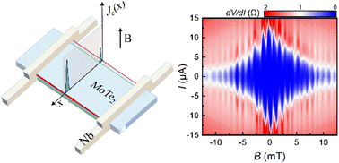 Graphical abstract: Asymmetric edge supercurrents in MoTe2 Josephson junctions