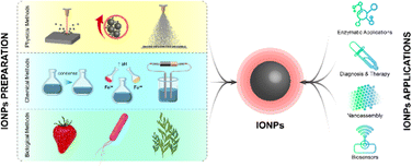 Graphical abstract: Magnetic iron oxide-based nanozymes: from synthesis to application
