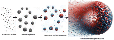 Graphical abstract: Insights into emulsion synthesis of self-assembled suprastructures formed by Janus silica particles with –NH2/–SH surface groups