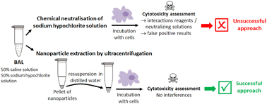 Graphical abstract: Development of a protocol of isolation of nanoparticles from patients' broncho-alveolar lavages for their in vitro toxicity assessment