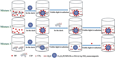Graphical abstract: Multifunctional polymer-based nanocomposites for synergistic adsorption and photocatalytic degradation of mixed pollutants in water