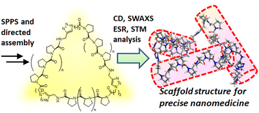 Graphical abstract: Comprehensive characterization of polyproline tri-helix macrocyclic nanoscaffolds for predictive ligand positioning