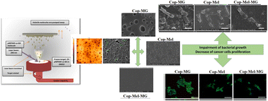 Graphical abstract: Hybrid bio-nanoporous peptide loaded-polymer platforms with anticancer and antibacterial activities