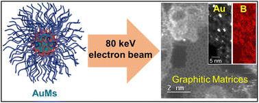 Graphical abstract: Experimental and theoretical evidence for unprecedented strong interactions of gold atoms with boron on boron/sulfur-doped carbon surfaces