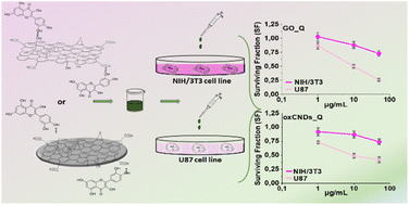 Graphical abstract: Graphene oxide and oxidized carbon nanodiscs as biomedical scaffolds for the targeted delivery of quercetin to cancer cells