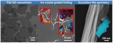 Graphical abstract: Ice crystal guided folding of graphene oxides in a confined space: a facile approach to 1D functional graphene structures
