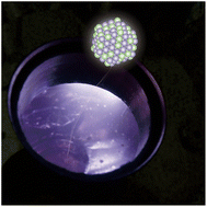 Graphical abstract: Detailed discussion on the structure of alloy nanoparticles synthesized via magnetron sputter deposition onto liquid poly(ethylene glycol)