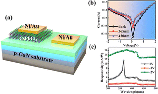 Graphical abstract: Visible–ultraviolet dual-band photodetectors based on an all-inorganic CsPbCl3/p-GaN heterostructure