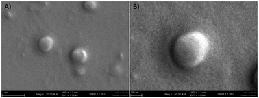 Graphical abstract: Preparation and evaluation of a niosomal delivery system containing G. mangostana extract and study of its anti-Acanthamoeba activity