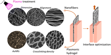 Graphical abstract: Developing strategies to optimize the anchorage between electrospun nanofibers and hydrogels for multi-layered plasmonic biomaterials