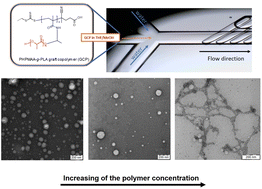 Graphical abstract: Effect of polymer concentration on the morphology of the PHPMAA-g-PLA graft copolymer nanoparticles produced by microfluidics nanoprecipitation