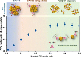 Graphical abstract: Impact of organic phosphates on the structure and composition of short-range ordered iron nanophases