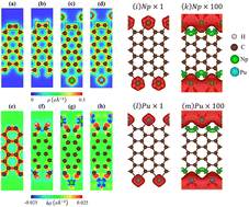 Graphical abstract: Electronic, magnetic, and optical properties of Np and Pu decorated armchair graphene nanoribbons: a DFT study