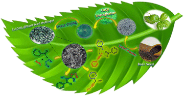 Graphical abstract: Eco-friendly and sustainable basil seed hydrogel-loaded copper hydroxide-based catalyst for the synthesis of propargylamines and tetrazoles