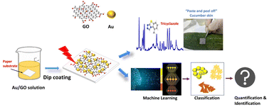 Graphical abstract: Paper/GO/e-Au flexible SERS sensors for in situ detection of tricyclazole in orange juice and on cucumber skin at the sub-ppb level: machine learning-assisted data analysis