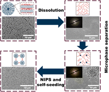 Graphical abstract: Fabrication of nanoparticle array membranes by integrating semi-crystalline polymer self-assembly with NIPS for water treatment