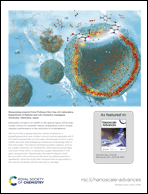 Graphical abstract: Inside back cover