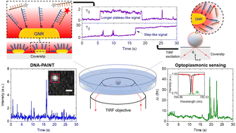 Graphical abstract: Anomalous DNA hybridisation kinetics on gold nanorods revealed via a dual single-molecule imaging and optoplasmonic sensing platform