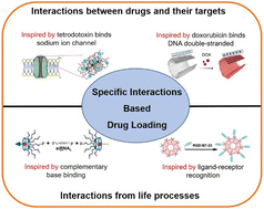 Graphical abstract: Specific interaction based drug loading strategies