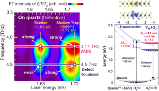 Graphical abstract: Localized coherent phonon generation in monolayer MoSe2 from ultrafast exciton trapping at shallow traps