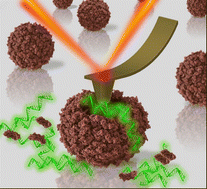 Graphical abstract: Mechanical disassembly of human picobirnavirus like particles indicates that cargo retention is tuned by the RNA–coat protein interaction