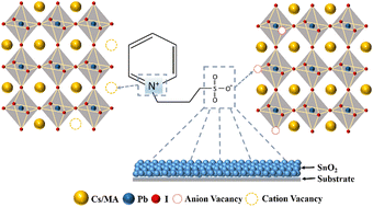 Graphical abstract: Performance and stability enhancement of perovskite photodetectors by additive and interface engineering using a dual-functional PPS zwitterion