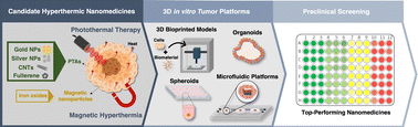 Graphical abstract: Advances in screening hyperthermic nanomedicines in 3D tumor models