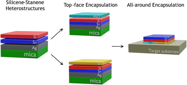 Graphical abstract: All-around encapsulation of silicene