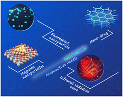 Graphical abstract: Use of nano-enabled approaches to advance acupuncture therapy for disease management
