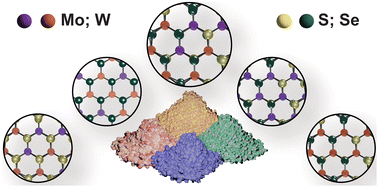 Graphical abstract: Composition-tunable transition metal dichalcogenide nanosheets via a scalable, solution-processable method