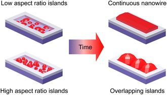 Graphical abstract: Control of Ge island coalescence for the formation of nanowires on silicon