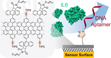 Graphical abstract: “Clickable” graphene nanoribbons for biosensor interfaces