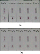 Graphical abstract: Development of immunochromatographic strips for the rapid detection of diquat in apples and strawberries