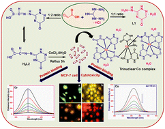 Graphical abstract: A trinuclear cobalt coordination complex constructed using novel triazine ligands via one-pot green synthesis: structural properties and biological evaluation