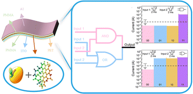 Graphical abstract: Bioresistive random access memory with an in-memory computing function based on graphene quantum dots