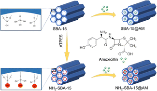 Graphical abstract: Mesoporous silica SBA-15 composite for the delivery of amoxicillin against S. aureus skin infection