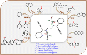 Graphical abstract: Design and synthesis of dinuclear cobalt(ii) complexes derived from strong π-acidic ligands: crystal structure and studies on the oxidation of sp3 C–H bonds