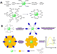 Graphical abstract: Fluorescent nanosensors for selective and sensitive determination of isoquercitrin based on boronate affinity-based imprinted quantum dots