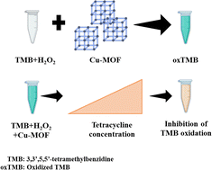 Graphical abstract: Controlled synthesis of Cu-MOF possessing peroxidase-mimetic activity for the colorimetric detection of tetracycline in aqueous solution