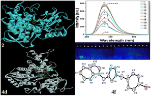 Graphical abstract: Fluorescent 7-azaindole N-linked 1,2,3-triazole: synthesis and study of antimicrobial, molecular docking, ADME and DFT properties