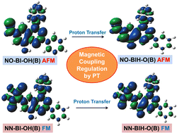 Graphical abstract: Proton-transfer regulated magnetic coupling characteristics in Blatter-based diradicals