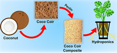 Graphical abstract: Eco-friendly fabrication of coco coir composites for hydroponic cultivation: a green chemistry approach