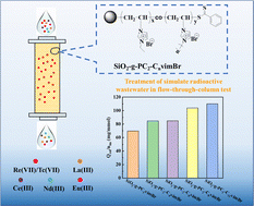 Graphical abstract: Radiation synthesis of binary poly(ionic liquid) functionalized silica-based materials for selective adsorption of ReO4− as analogue of TcO4− from simulated radioactive wastewater