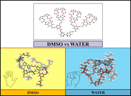 Graphical abstract: Peripherally “tertiary butyl ester” functionalized bipyridine cored dendrons: from synthesis and characterization to molecular dynamic simulation study