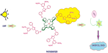 Graphical abstract: Peripherally, non-peripherally and axially pyrazoline-fused phthalocyanines: synthesis, aggregation behaviour, fluorescence, singlet oxygen generation, and photodegradation studies