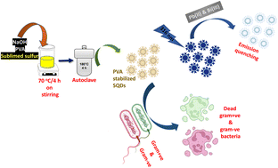 Graphical abstract: Dual functions of metal ion detection and antibacterial activity of sulfur quantum dots