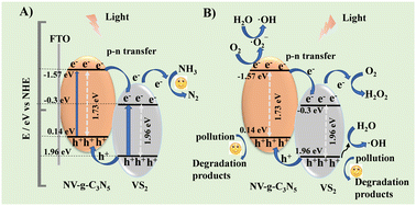 Graphical abstract: Solar light-driven photoelectrocatalytic and photocatalytic applications based on flower-like NV-g-C3N5@VS2 heterojunctions